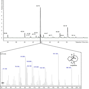 Abbildung 2. Chromatogramm (oben) und Massenspektrum (unten)