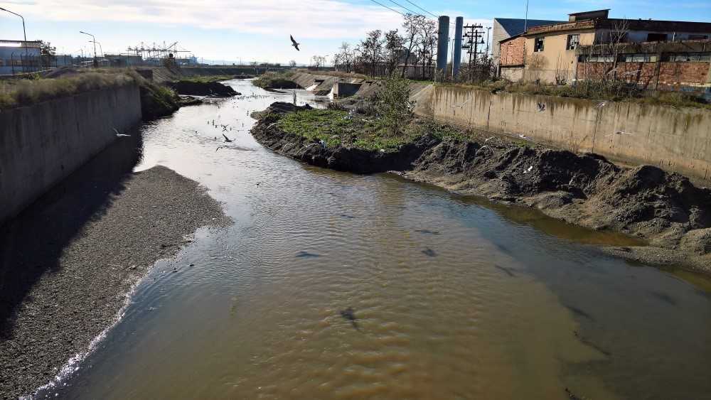 Dendropotamos_river