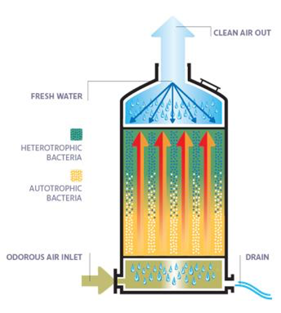 Scheme of the biotrickling process (1)