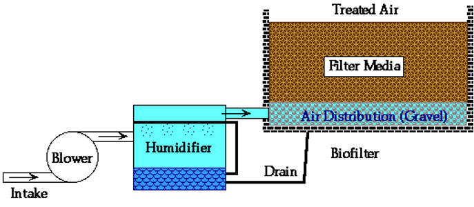 Schema di un sistema di biofiltrazione